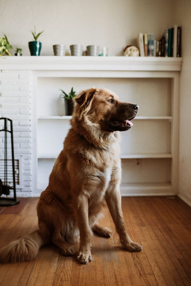 Would a USDA Loan Work for You?