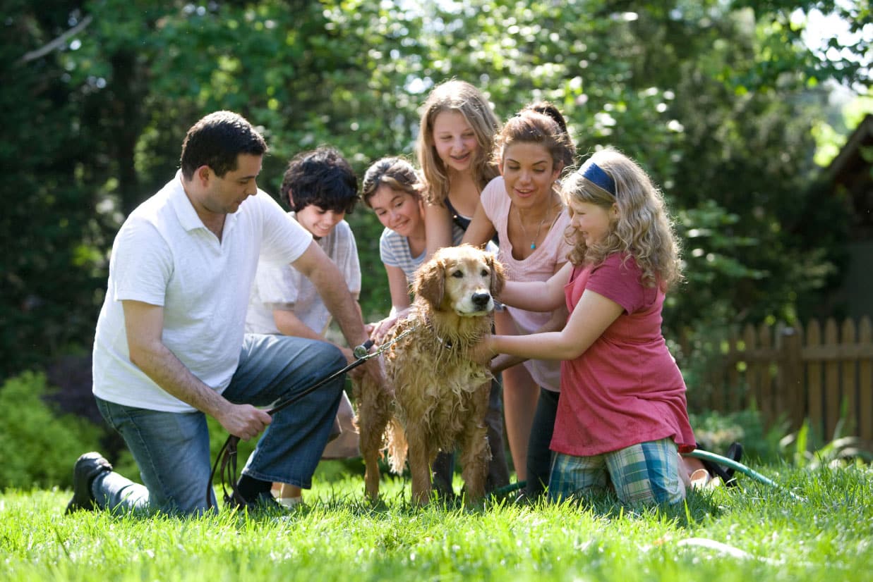 Family and children washing a golden retriever in a green backyard, illustrating a fun and engaging outdoor activity.